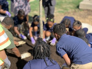 Ketcham students put their green thumbs to use to plant a memorial tree.